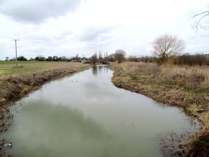 Fish Refuge at Stibbington