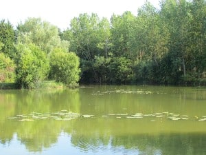 Horseshoe Lake - Wansford