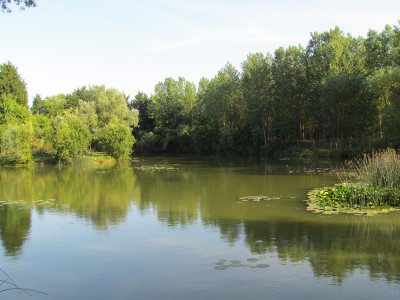 Horsehoe Lake