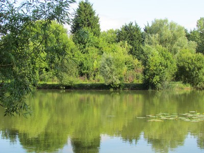 Horsehoe Lake