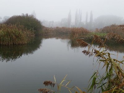 Fish Refuge at Stibbington