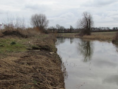 Fish Refuge at Stibbington