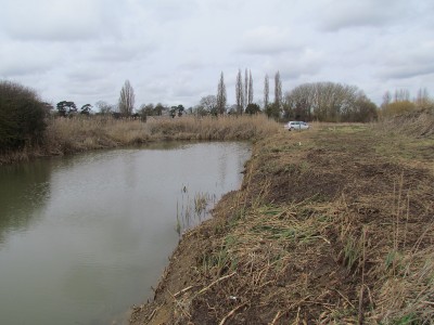 Fish Refuge at Stibbington