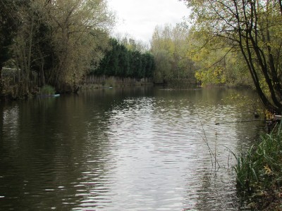 Horseshoe Lake