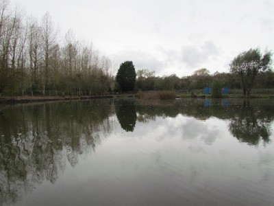 Horseshoe Lake
