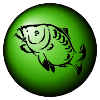 Deeping St James Angling Club