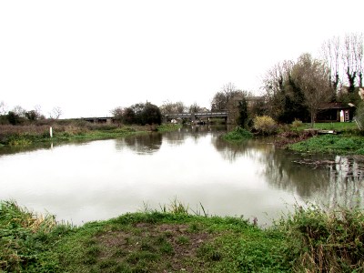 River Nene at Stibbington