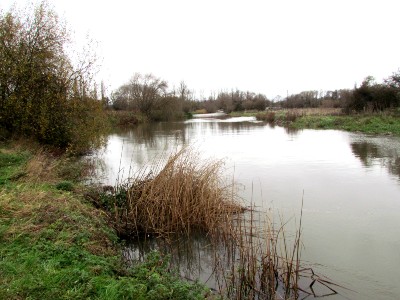 River Nene at Stibbington