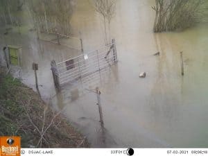 Horseshoe Lake 7th Feb