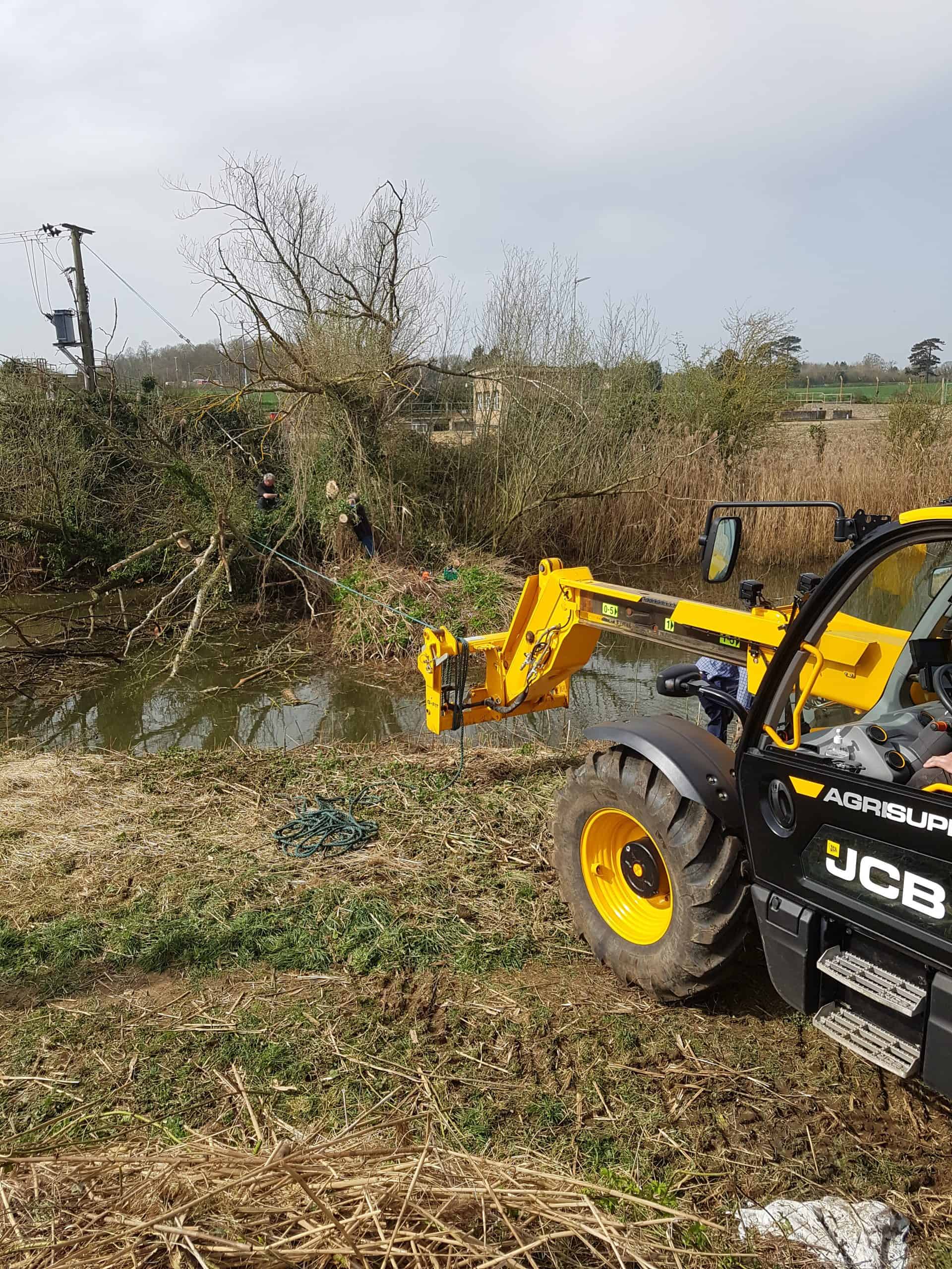 Refuge Tree Removal