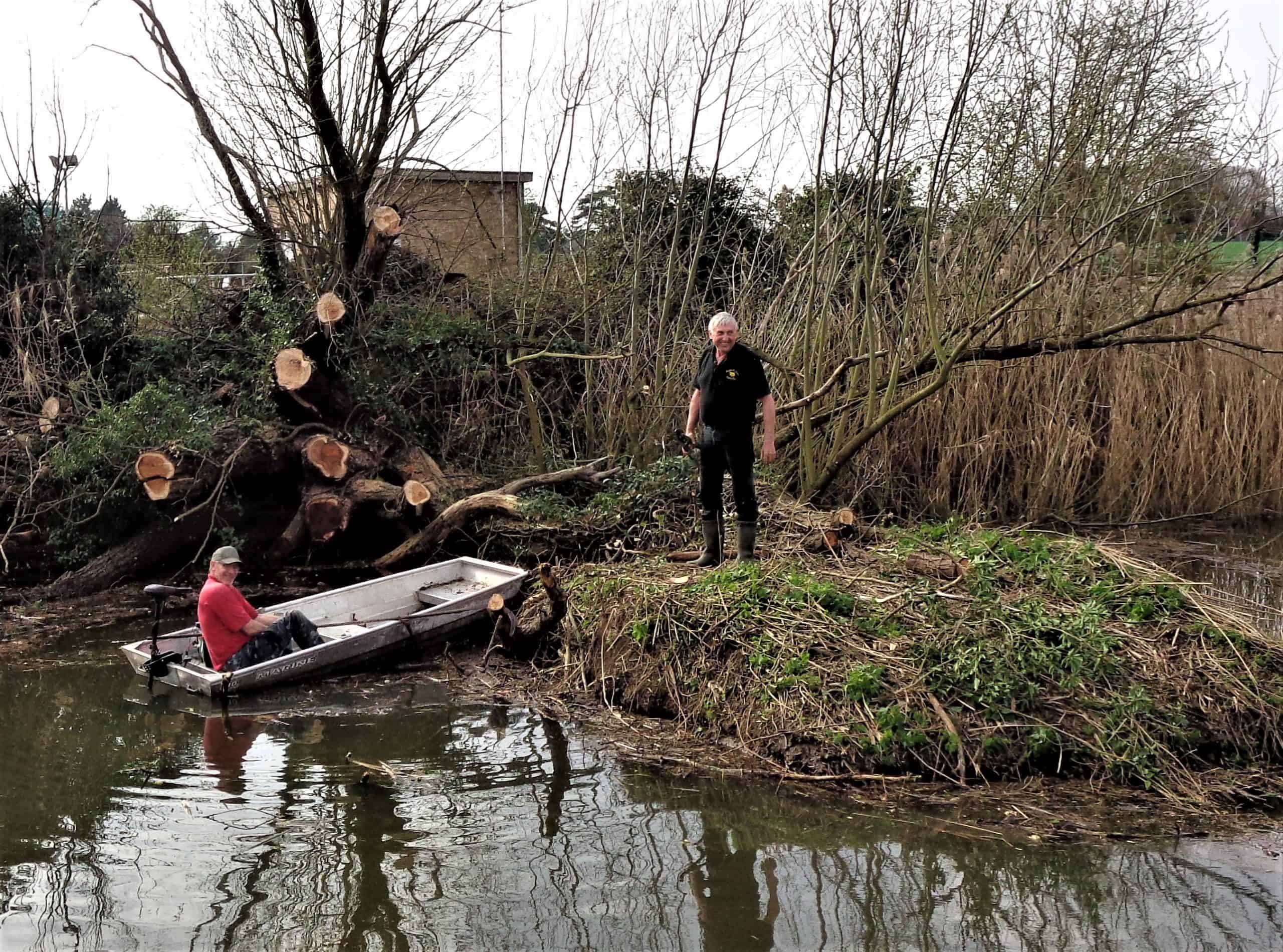 Refuge Tree Removal